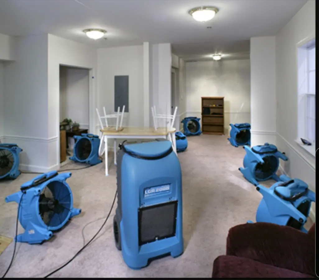Air movers and dehumidifier setup for Water Extraction & Removal in Mascotte